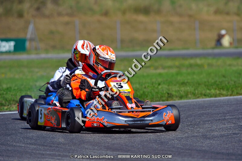 DSC_ (1357).jpg